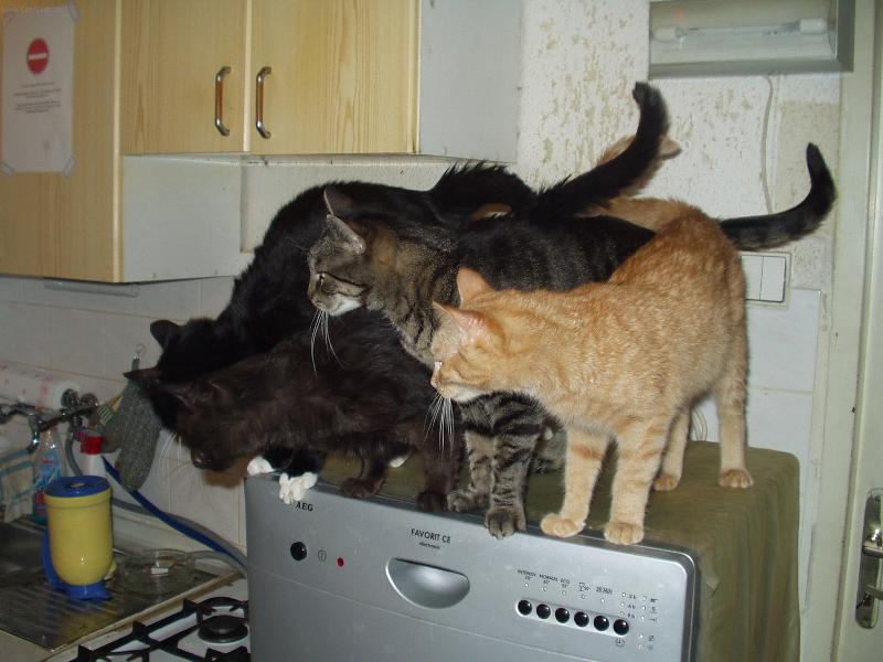 Foto: M�me hlad!!!!