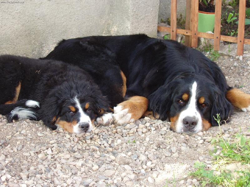 Foto: Lusynka s malou Eli�kou-p�ivezli jsme �t���tko...