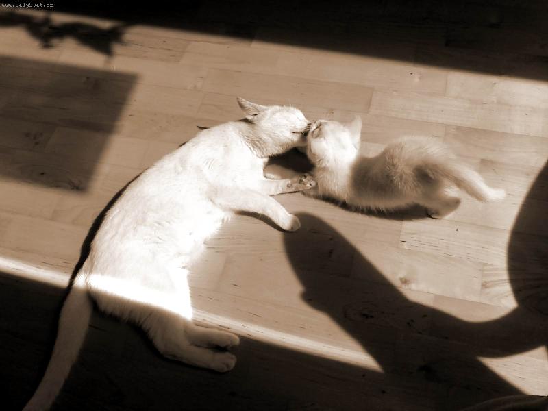 Foto: O�ista - do�ista-"No tak mami, je�t� pod t�m krkem!"