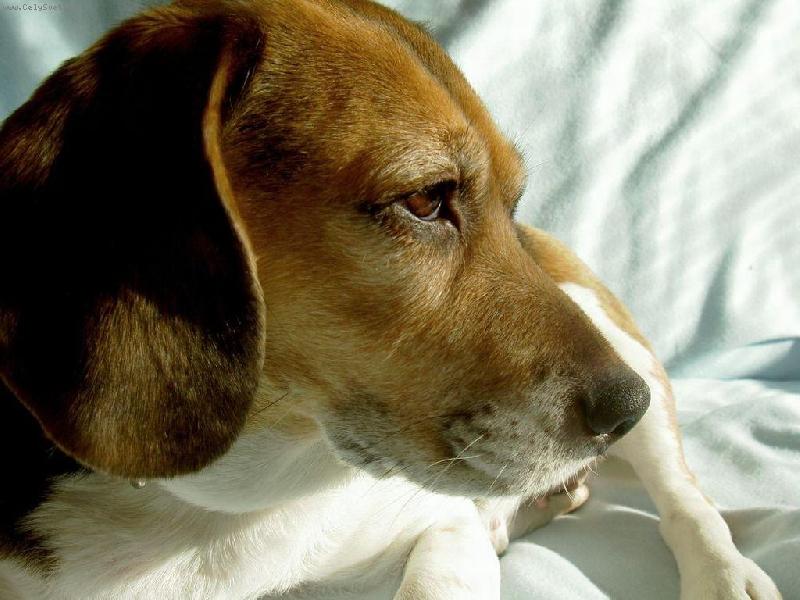 Foto: sta�� u� jen nahodit profesion�ln� �sm�v