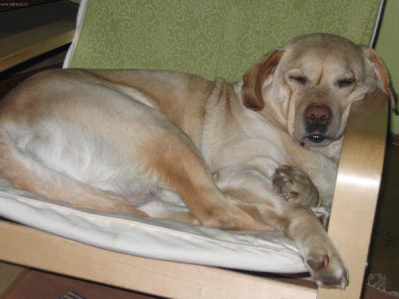 Foto: ned�ln� siesta