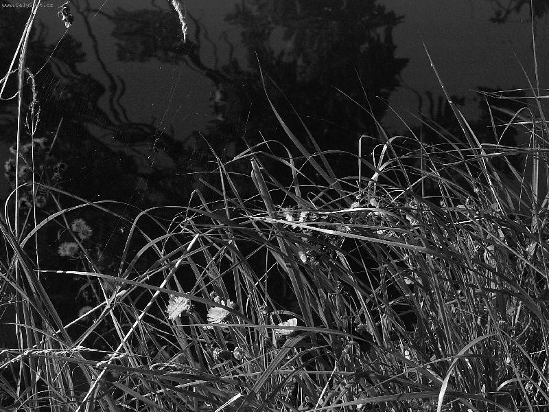 Foto: Podzimn� proch�zka-Pro �t�st�