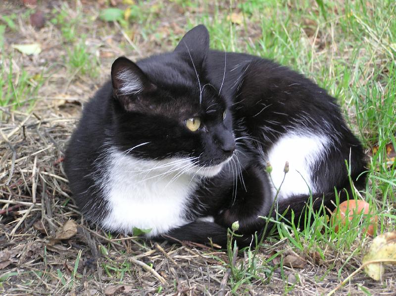 Foto: Kuba(Kub�nec)-Co to bylo???