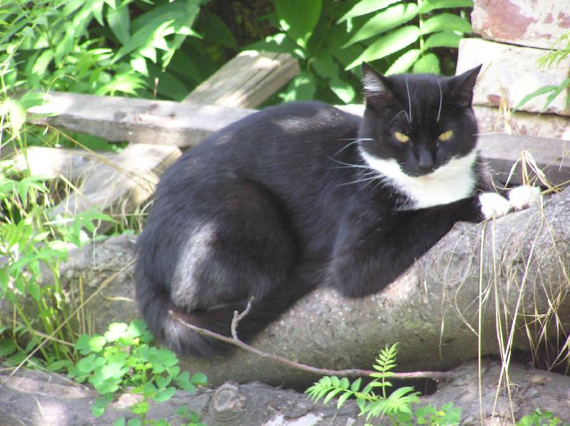 Foto: Kubinkton-U� zas odpo�inek