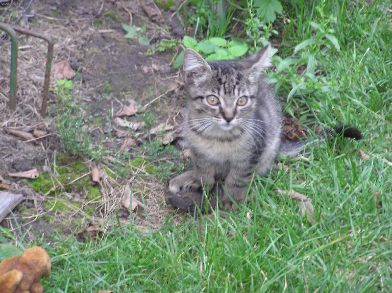 Foto: Moulis-Moula na zahr�dce...