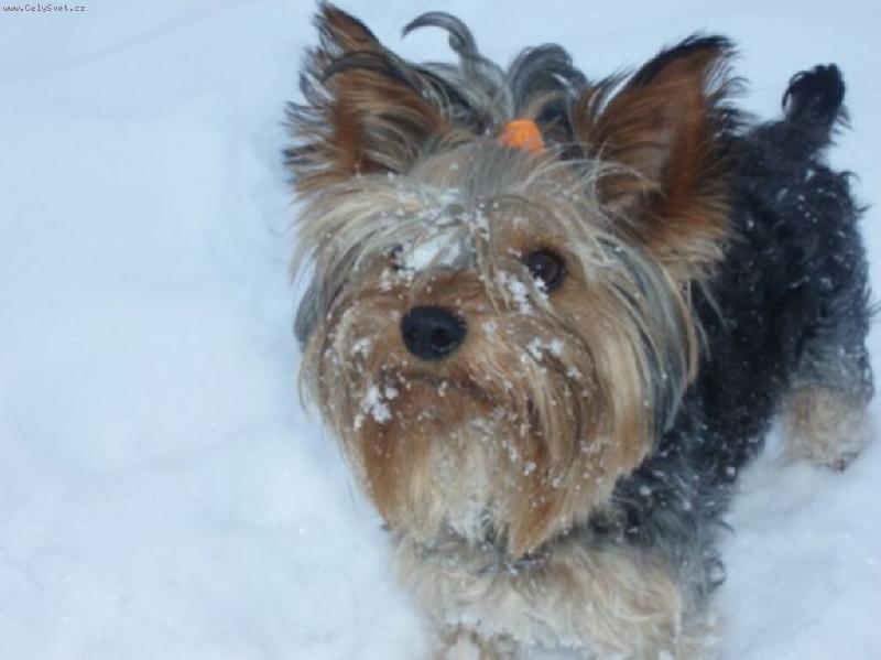 Foto: MILASIQ-JONHQY