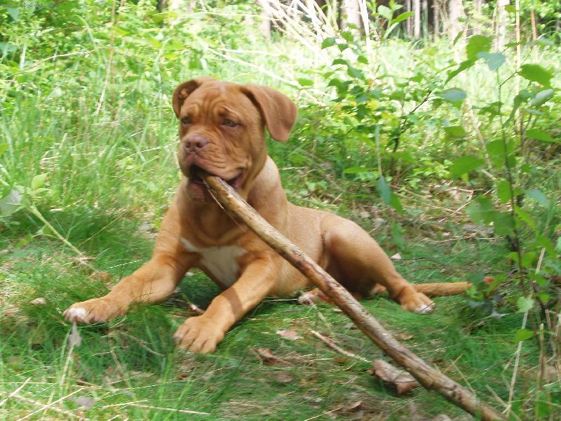 Foto: Samira kdy� byla �t���tko