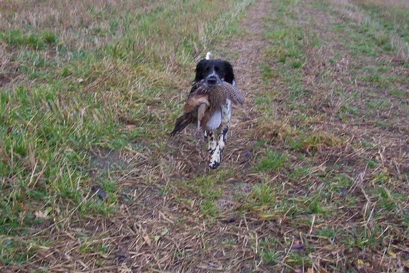 Foto: Hela Od Star� vsi-nesu ti ba�anta