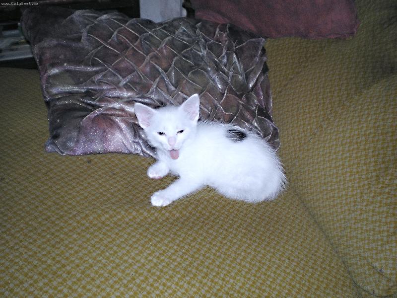 Foto: �ivotn� postoj...