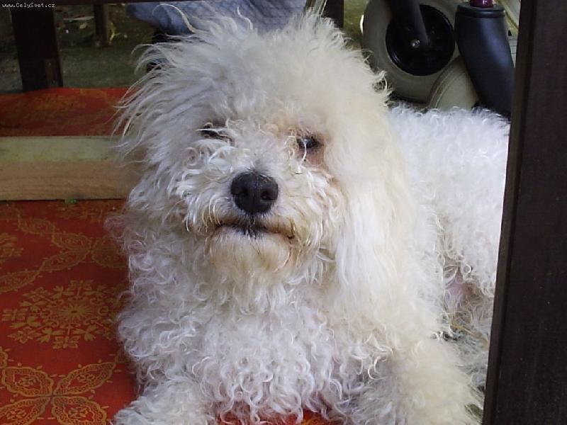 Foto: Pr�v� mi je rok-Pr�v� mi je rok