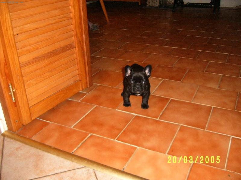 Foto: miminko B�ra