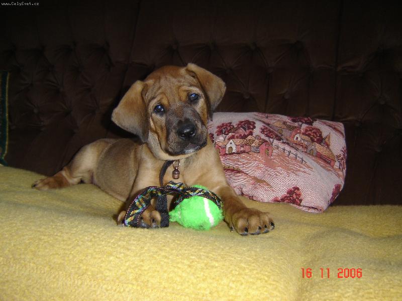 Foto: Teprve se rozhl��m m�m 2.m�s.