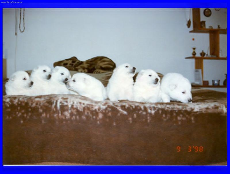 Foto: �t���tka