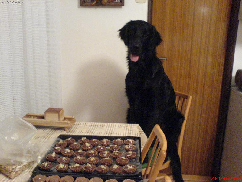 Foto: pe�eme na V�noce