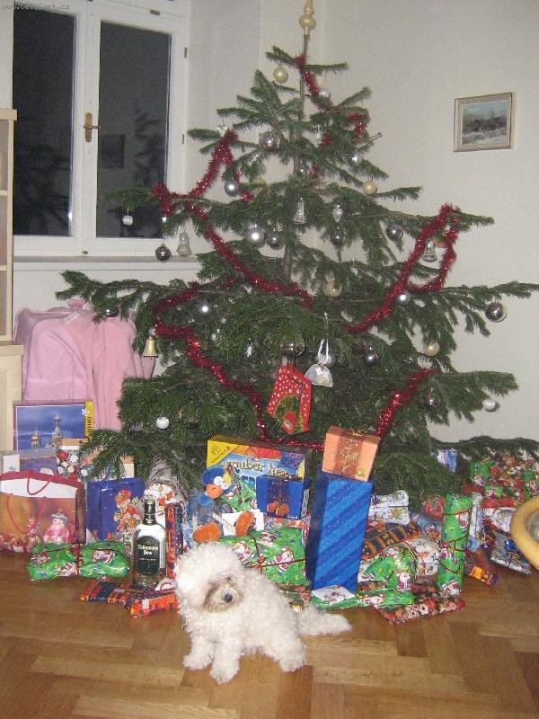 Foto: N� nejv�t�� d�re�ek-Shereenka