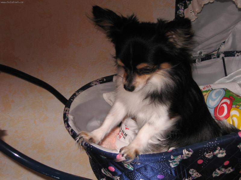 Foto: j� chci pohoupat!