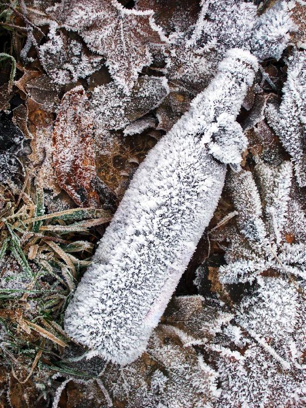 Foto: Zimn� z�ti��