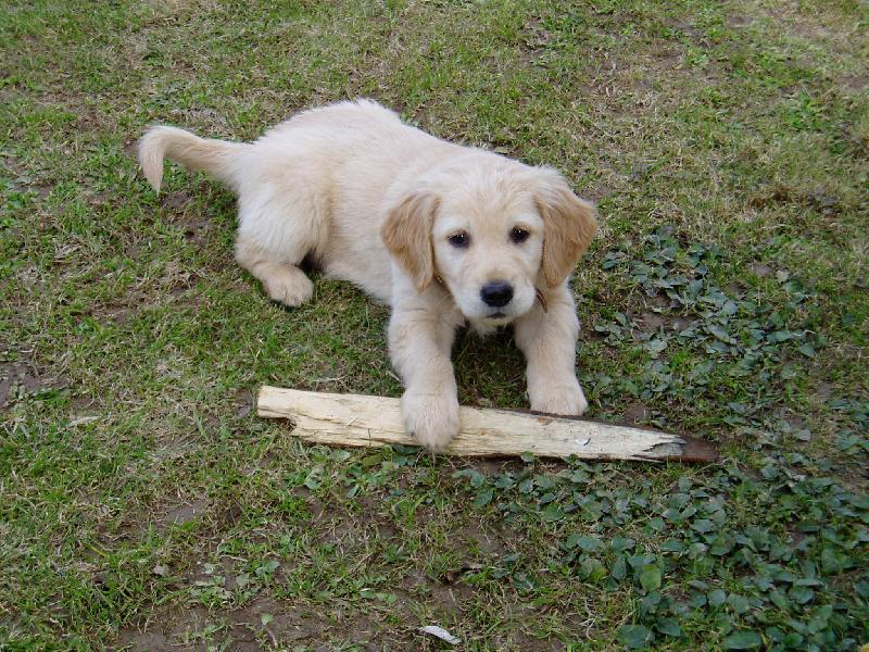 Foto: Ten klacek ti ned�m!