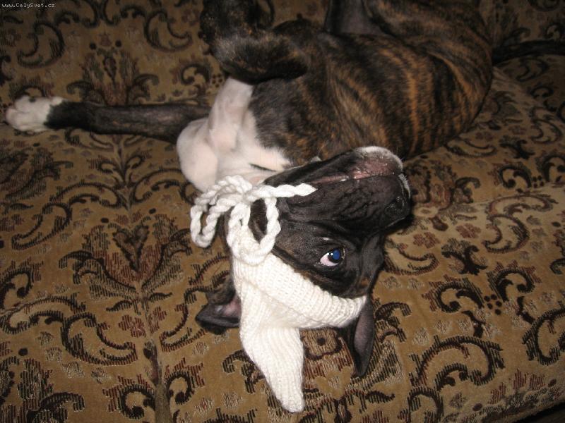 Foto: J� m�m �epi�ku