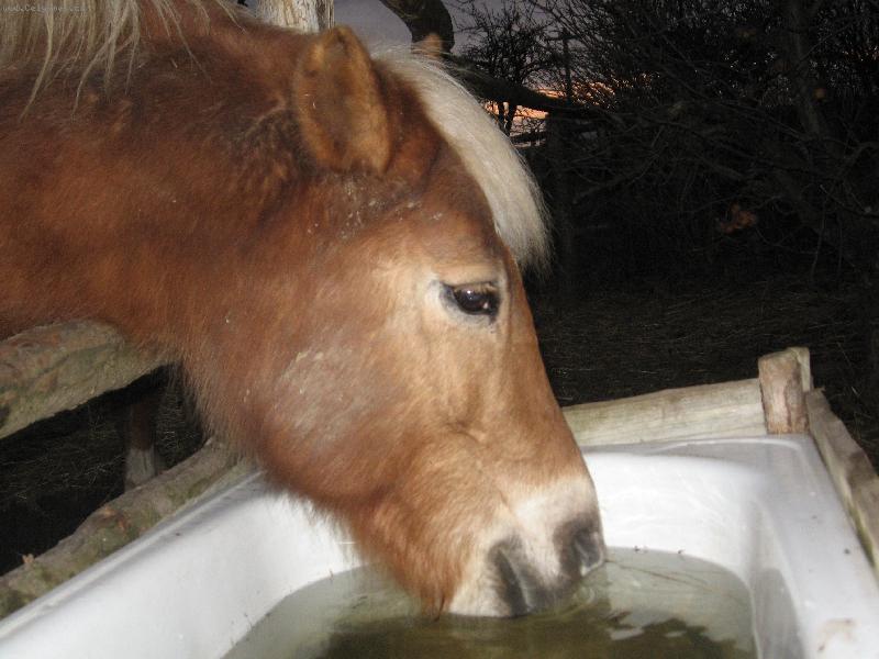 Foto: to je ale voda