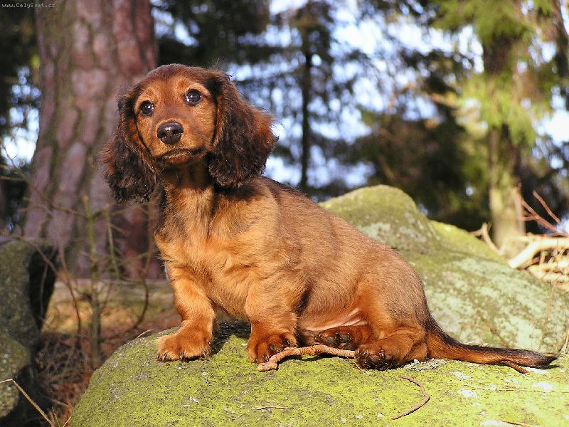 Foto: �da-Zahled�n� �da