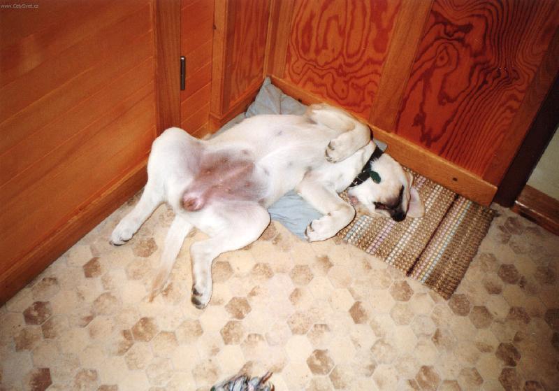 Foto: Mo��sek-To je pohodi�ka