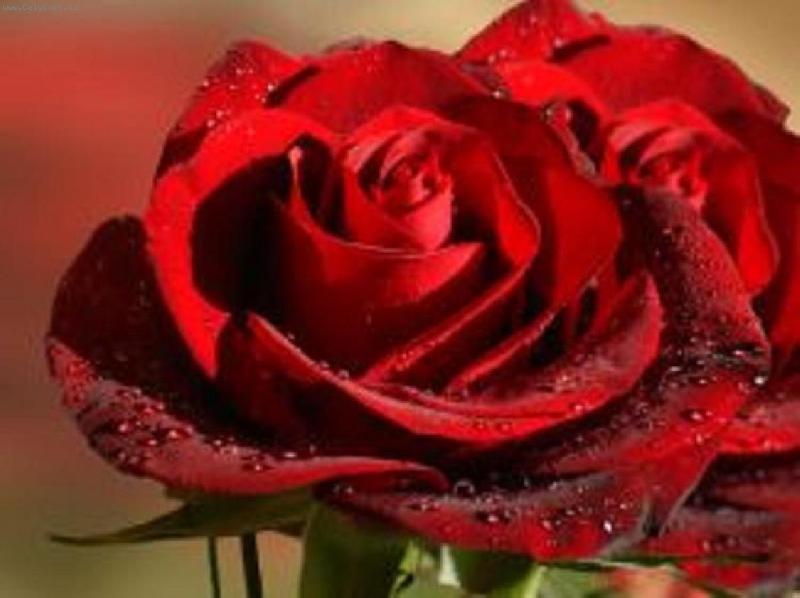 Foto: r��e s kapkami