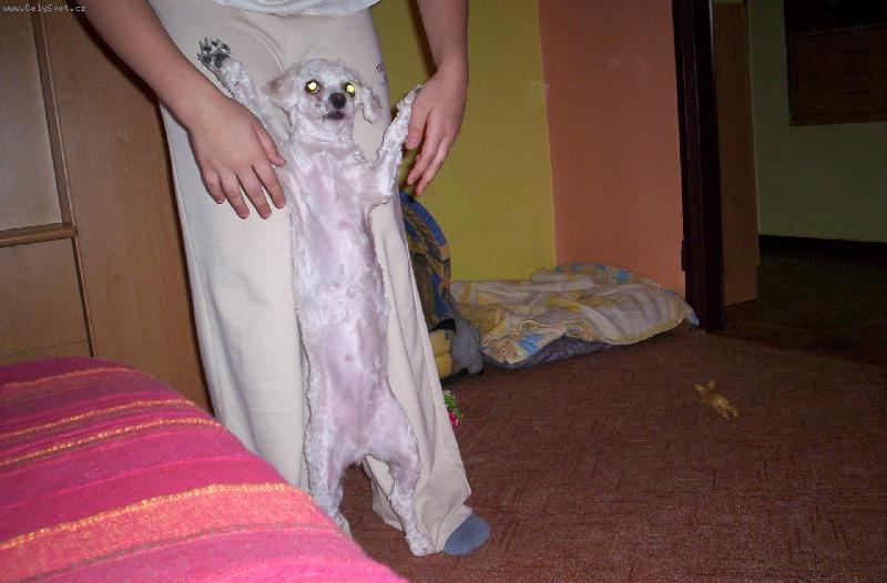 Foto: E.T. vol� dom�!!!!!!!!!!!