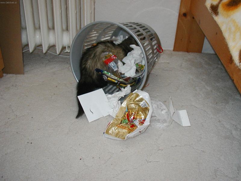 Foto: Tohle je r�j