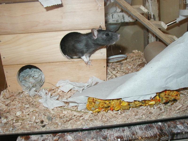 Foto: M�j dome�ek