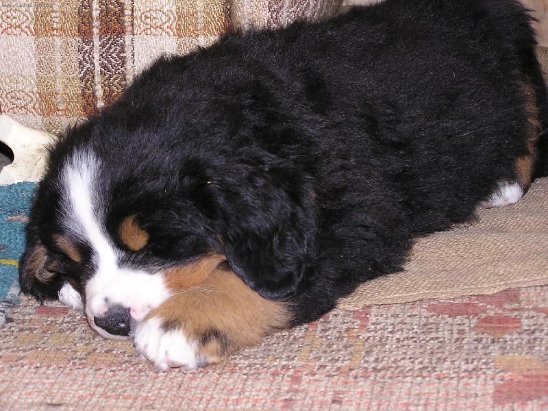 Foto: Kdy� �t���tko spink�