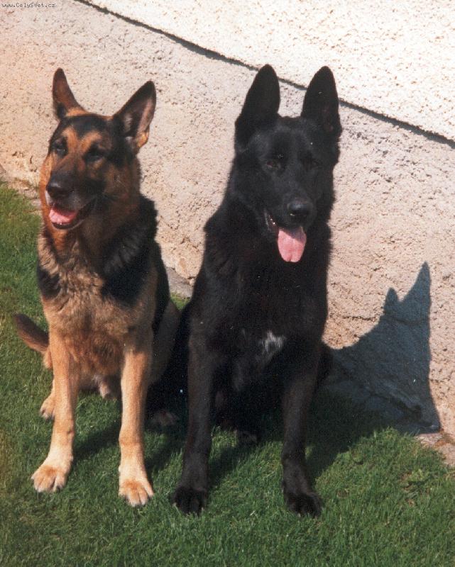 Foto: Spr�vn� dvojka