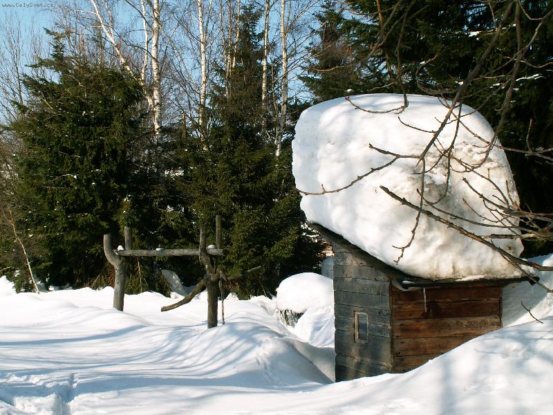 Foto: Do�k�me se ???-Orlick� hory - b�ezen 2006