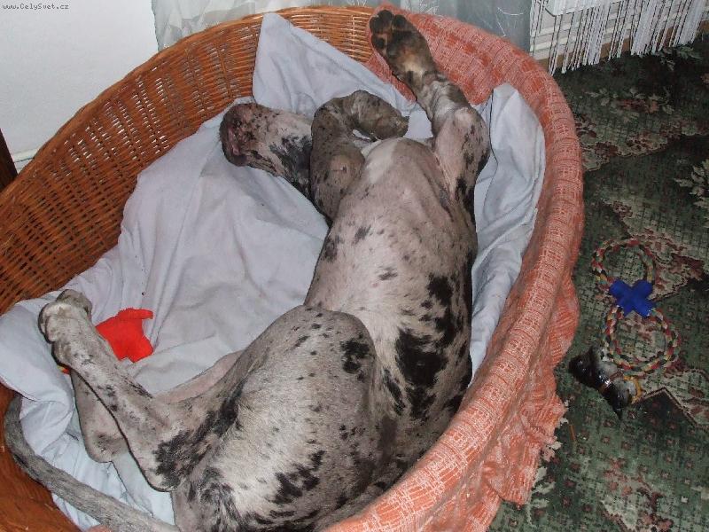 Foto: Historie se opakuje, aneb 2 m�s�ce pot�...