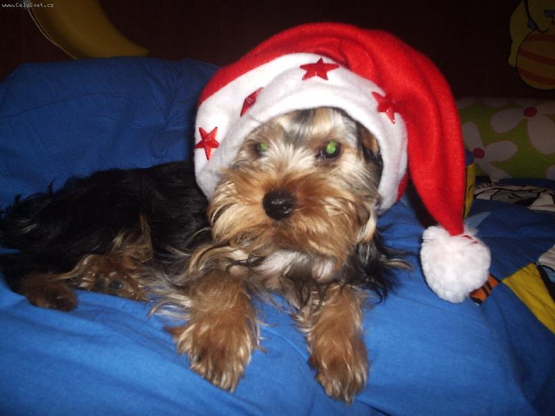 Foto: Danny-5 m�s�c�