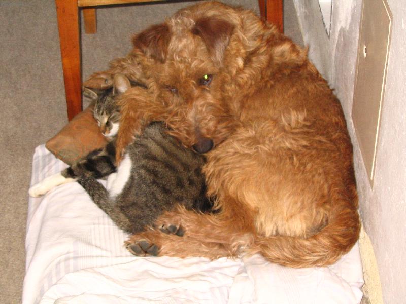 Foto: Badin-p��tel� na cel� �ivot