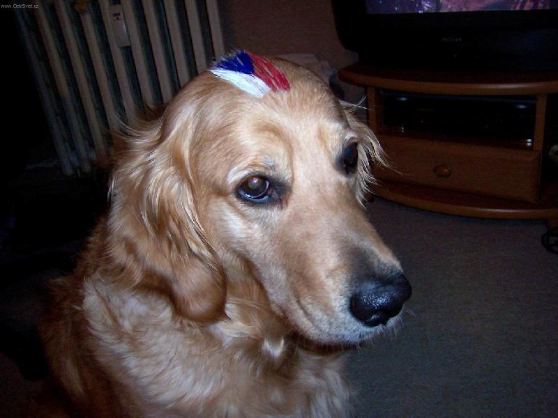 Foto: �E�I! DO TOHO!!!-..a hrajeme v oslaben�...