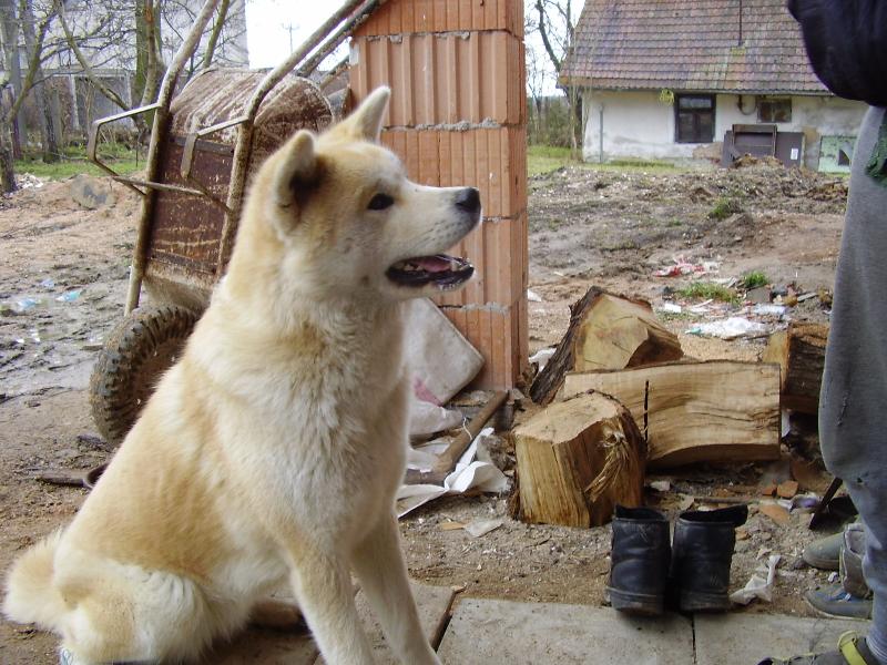 Foto: M� je�t� pi�kotku?