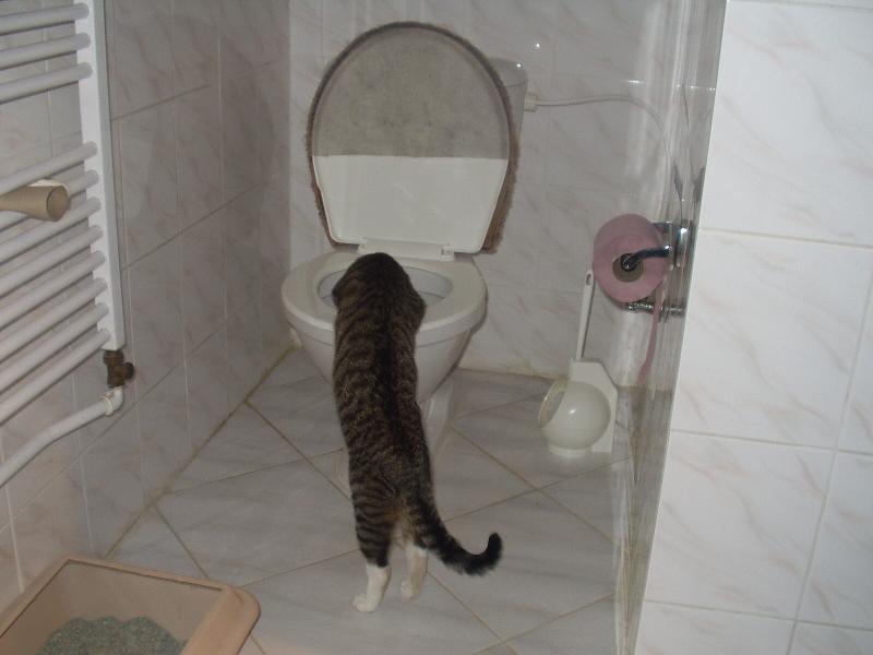 Foto: MOUREK- ....JE MI TAK ZLE....