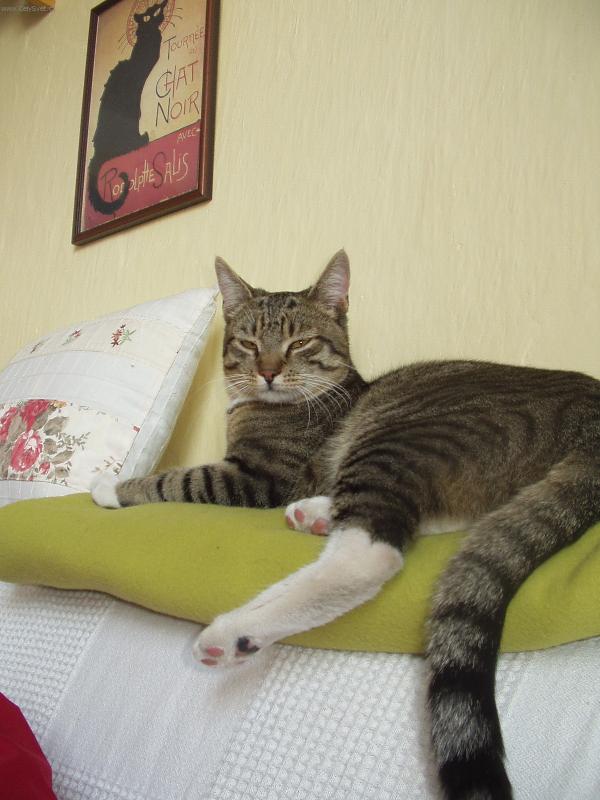 Foto: MOUREK- NED�LE VE ST�EDU