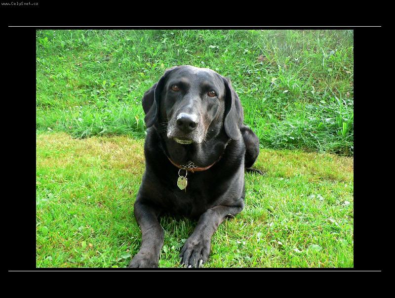 Foto: Cory-m��ete m� fotit,jsem p�ipraven�