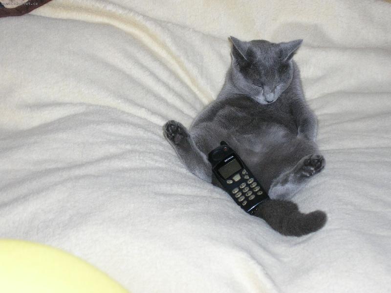 Foto: stoj�nek na mobil