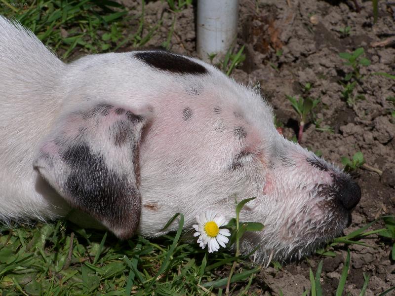 Foto: To se mi ale dob�e spink� !