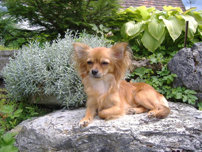 Foto: angie-dovolenka