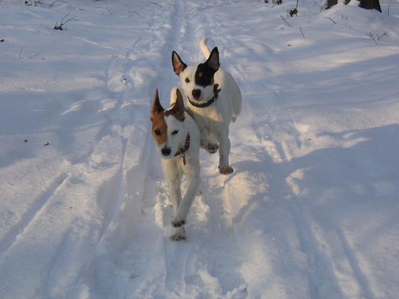 Foto: P�espoln� b�h.