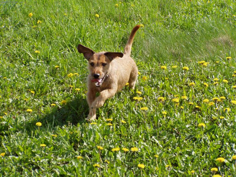 Foto: J� si jen tak l�t�m.....................