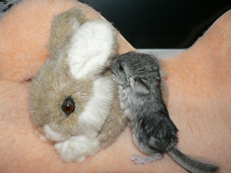 Foto: �ampi�n-Ahoj lidi�ky,narodil jsem se v ned�li 7.1.2007