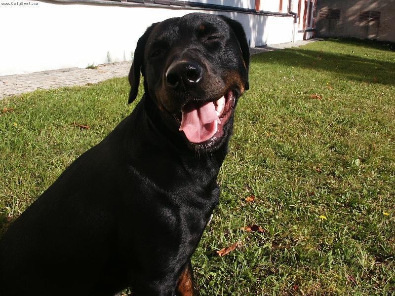 Foto: �sm�v pros�m