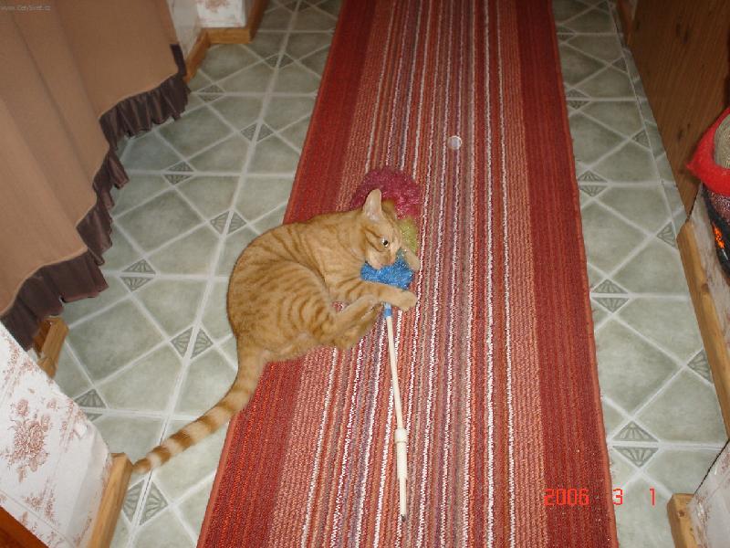 Foto: Honz�k-Tak a ��dn� opra�ov�n� u� nebude.......