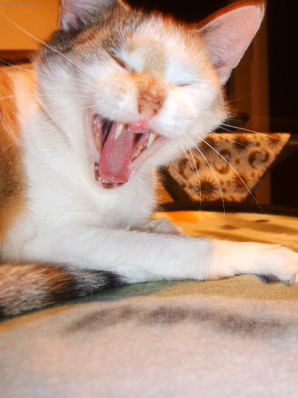 Foto: Nejlep�� momentka na�� Lindu�ky